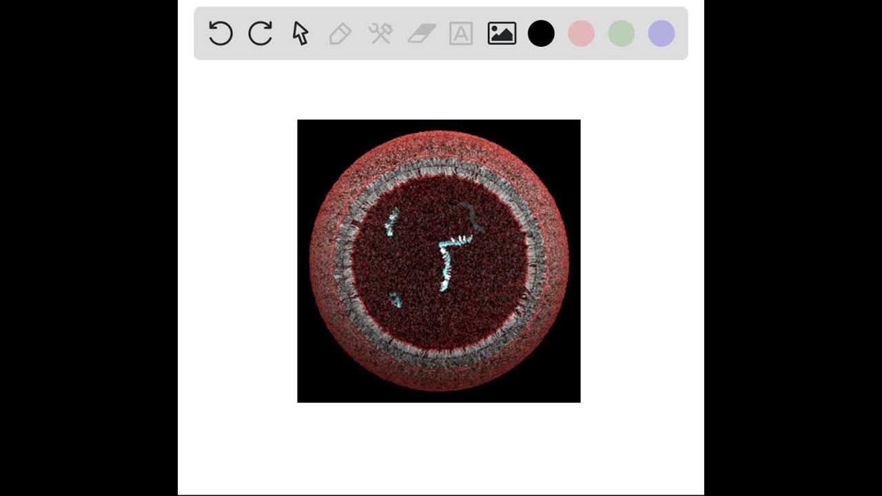 The initial importance of membrane-enclosing, self-replicating RNA molecules and associated protein&hellip;
