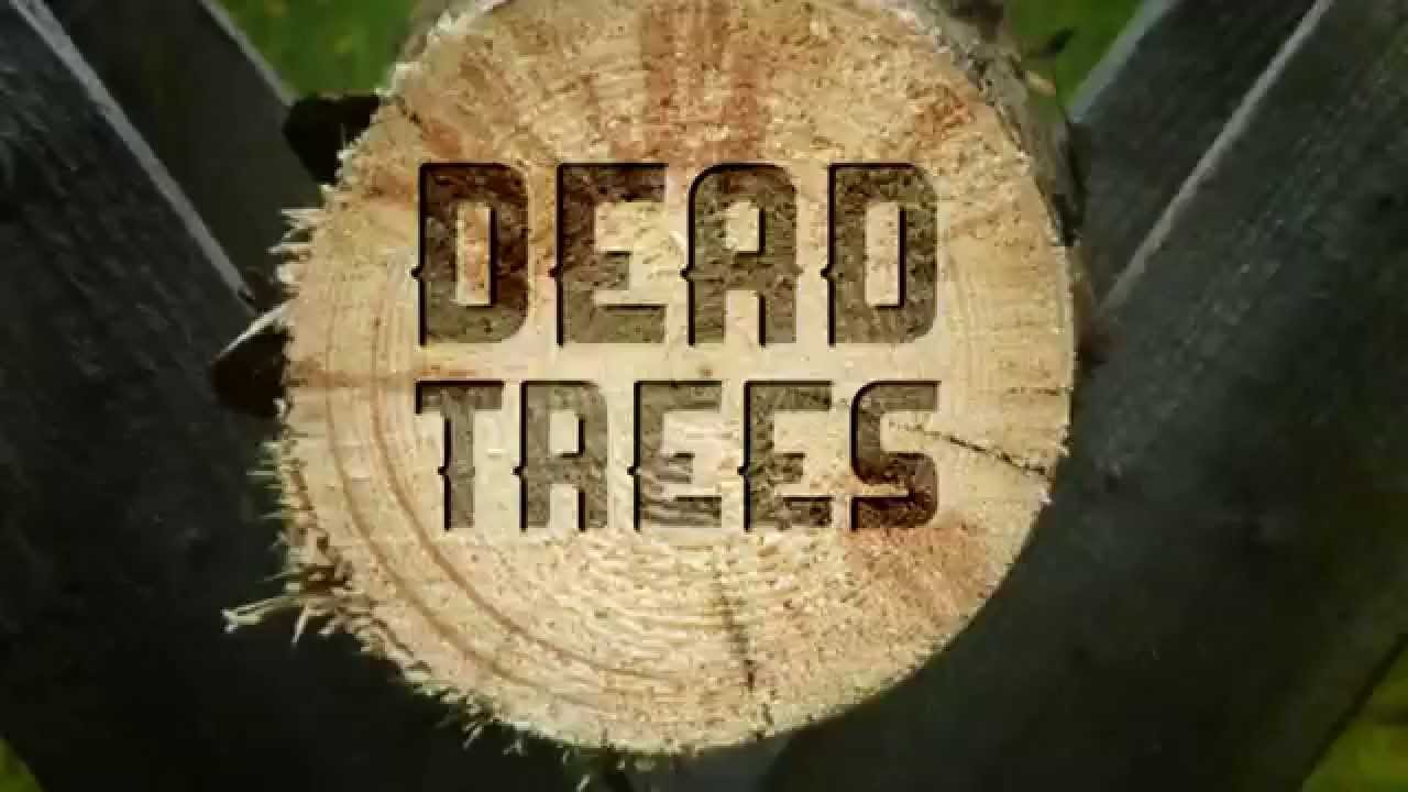 Chain Saw Safety Awareness Part 2