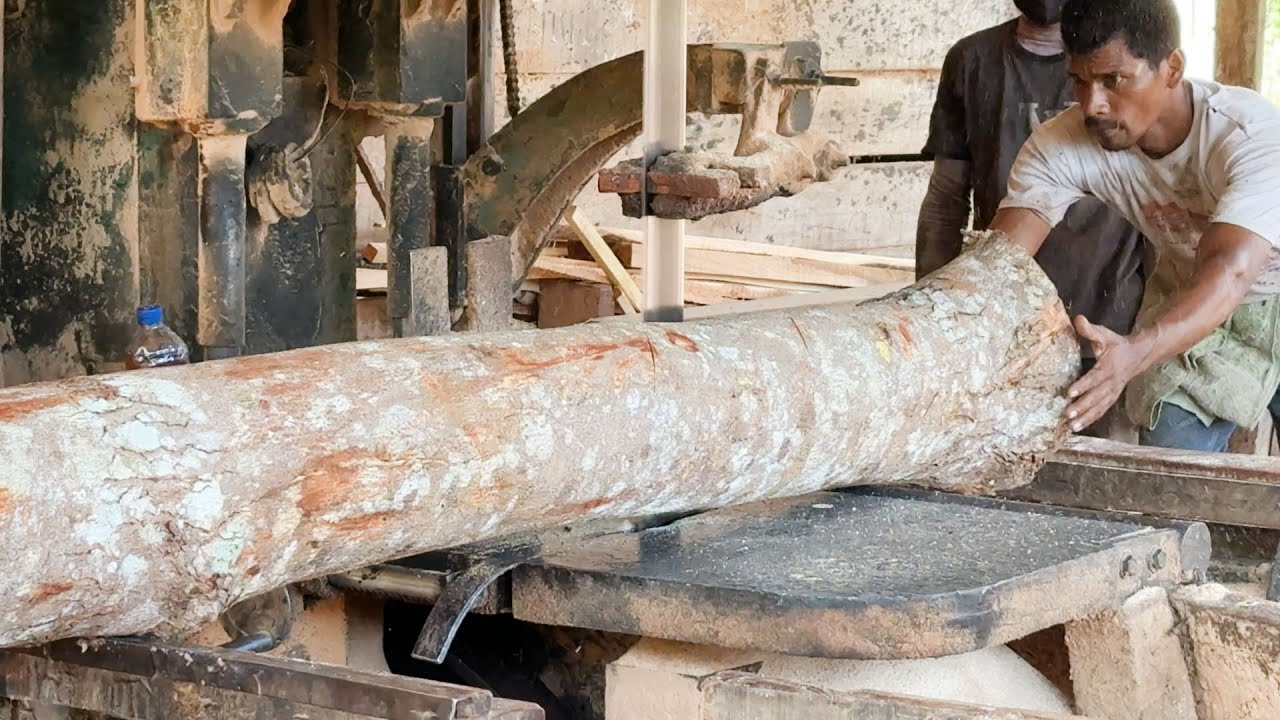 Choosing the Right Wood Saw The Ultimate Guide for Woodworkers!