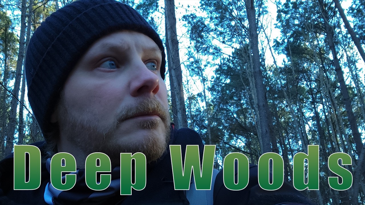 Wildlife Photography in the Deep Woods | On a Budget