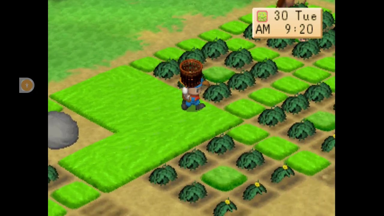 daily activity 30 spring & preparation for next season harvest moon back to nature