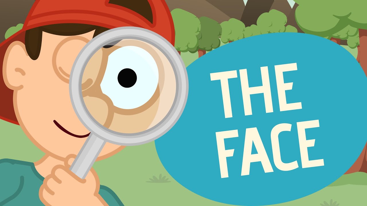 The song of the face - Nursery Rhymes - Toobys