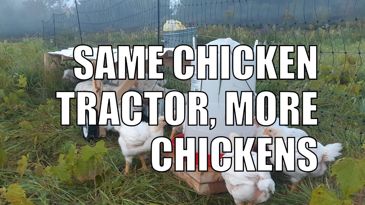 Modifying Suscovich Tractor for Free Ranging & Cutting Firewood