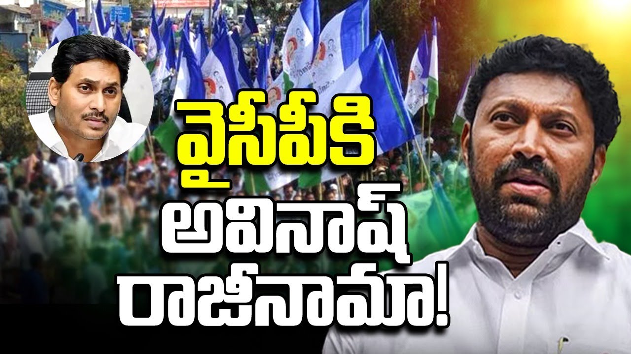 వైసీపీకి అవినాష్ రాజీనామా Kadapa MP YS Avinash reddy resign to mp seat | pulivendula election result