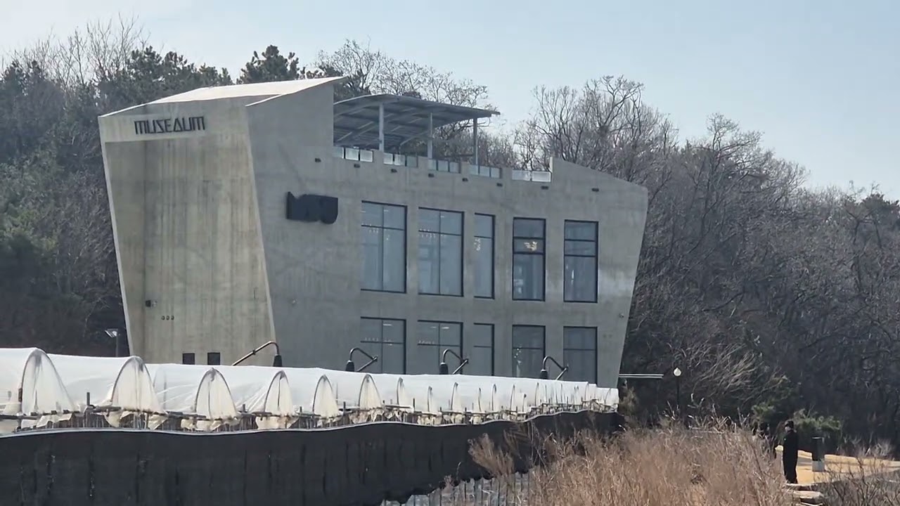 봄#봄이왔네요