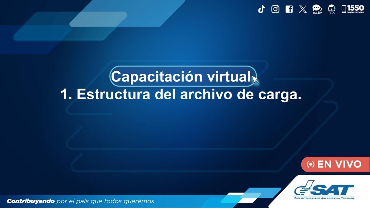 1. Estructura del archivo de carga.