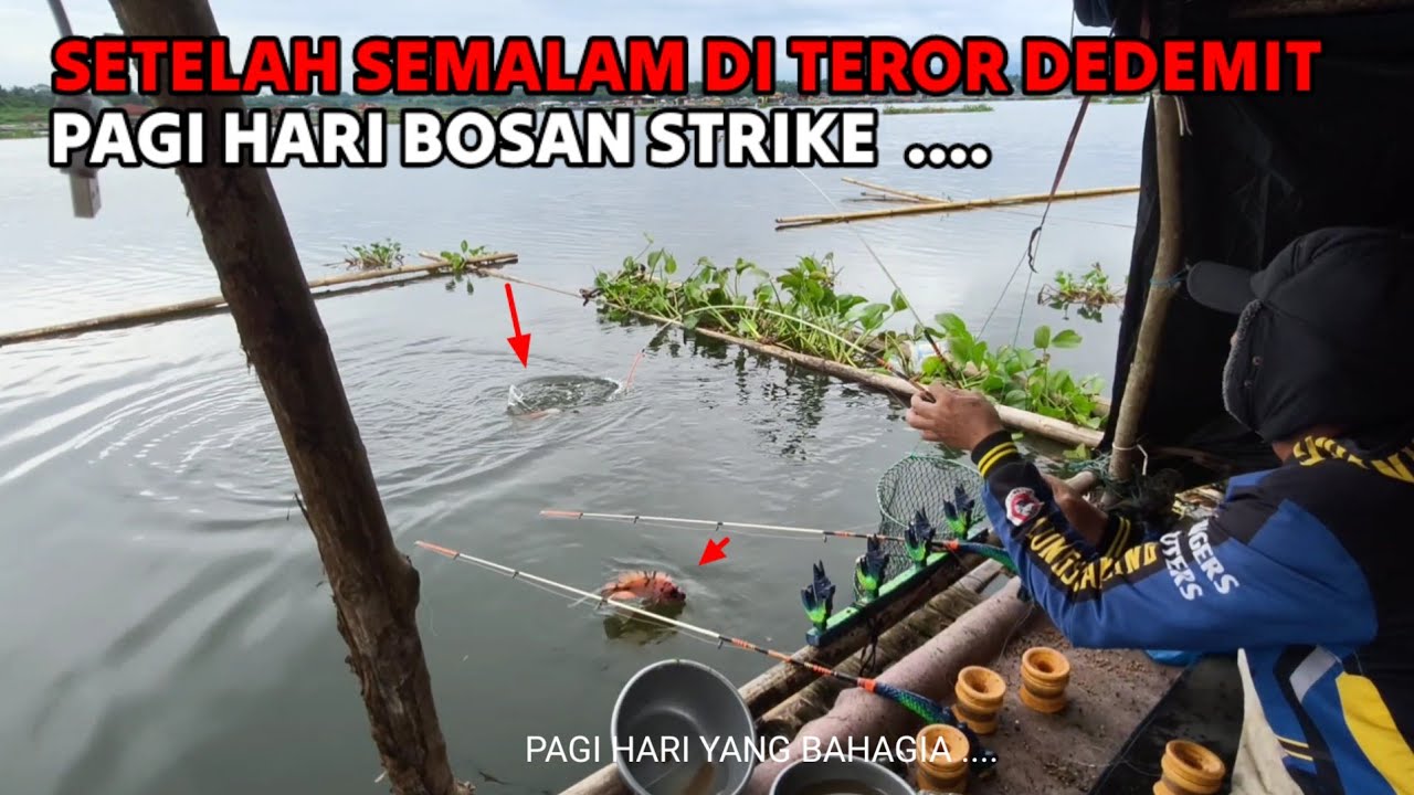 SUMPAH 😱!! BANYAK GANGGUAN DEDEMIT SAAT MANCING SENDIRI DI SPOT INI  || MANCING MANIA