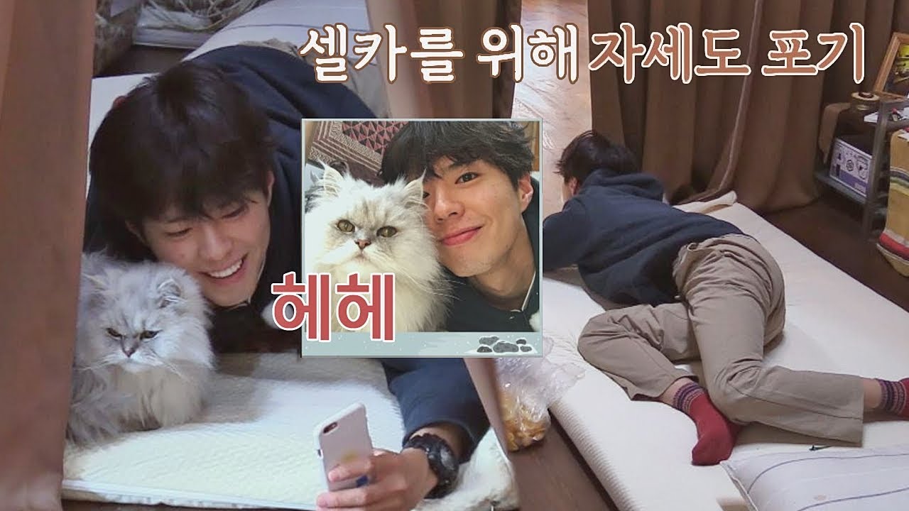 (얼굴 열일♥) 박보검, 셀카를 위해 자세는 포기한다…! 효리네 민박2 8회