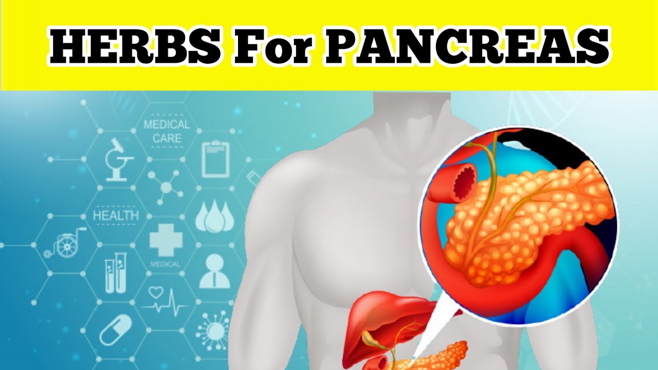 The 12 Herbs for A Healthy Pancreas