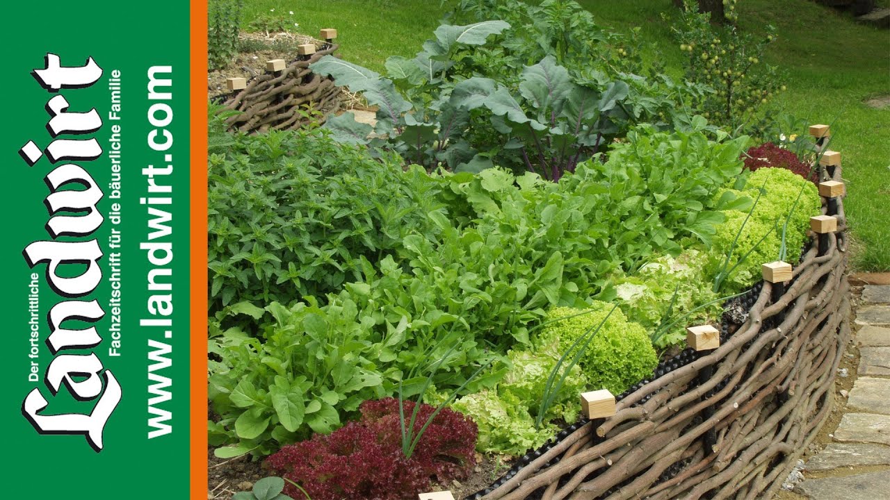 Garten pflegeleicht gestalten