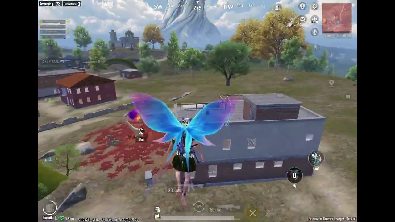 Winner winner chicken dinner