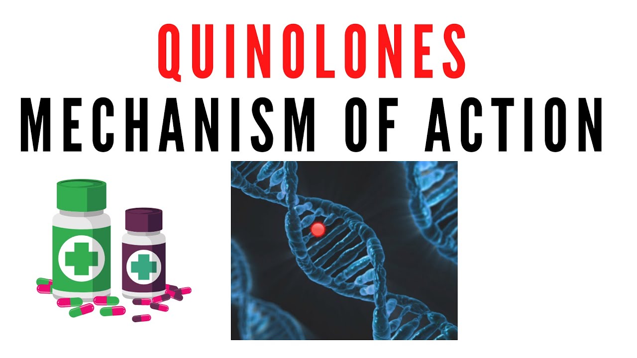 Quinolones pharmacology | Mechanism of action of quinolone antibiotics