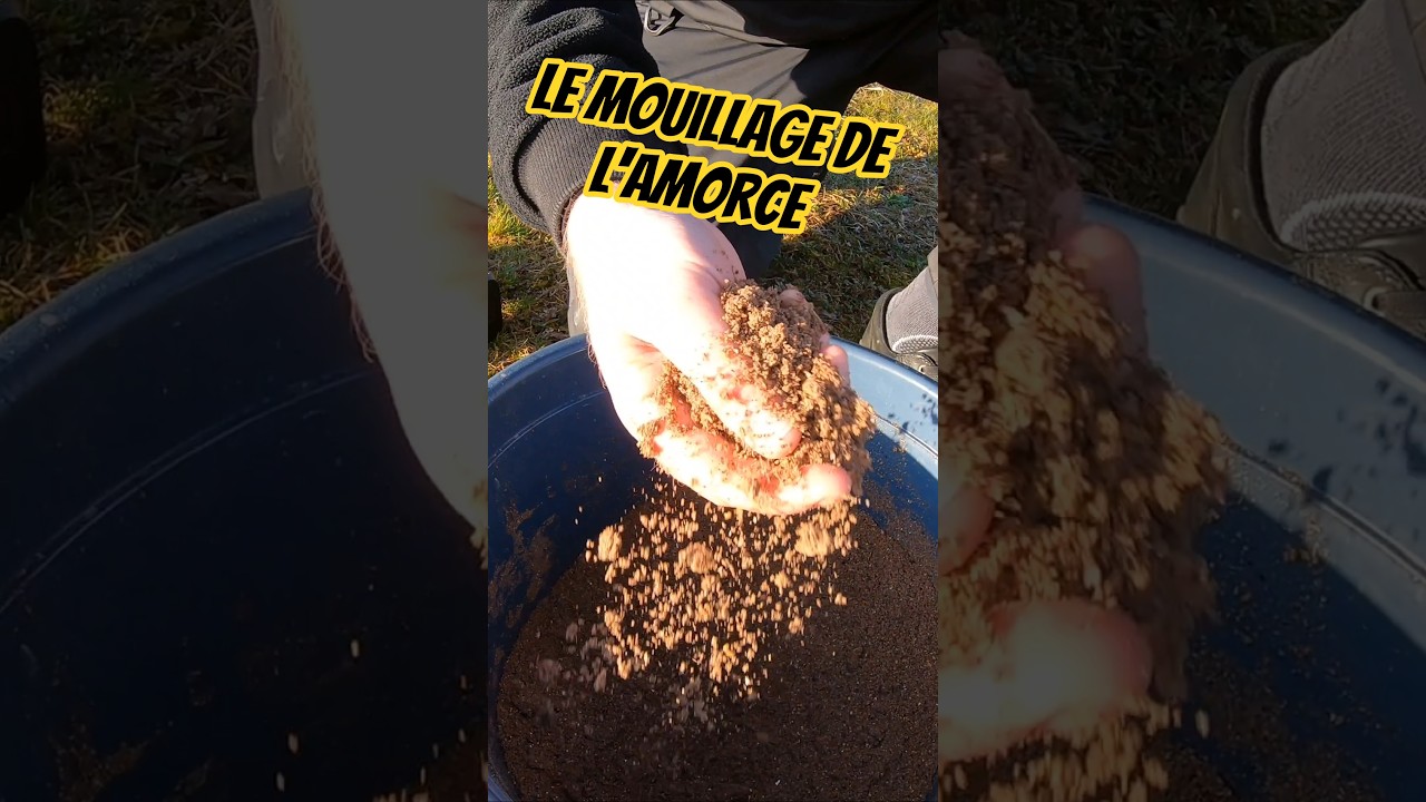 Adapter le mouillage de l'amorce pour attraper encore plus de poissons! #pecheaucoup #amorce