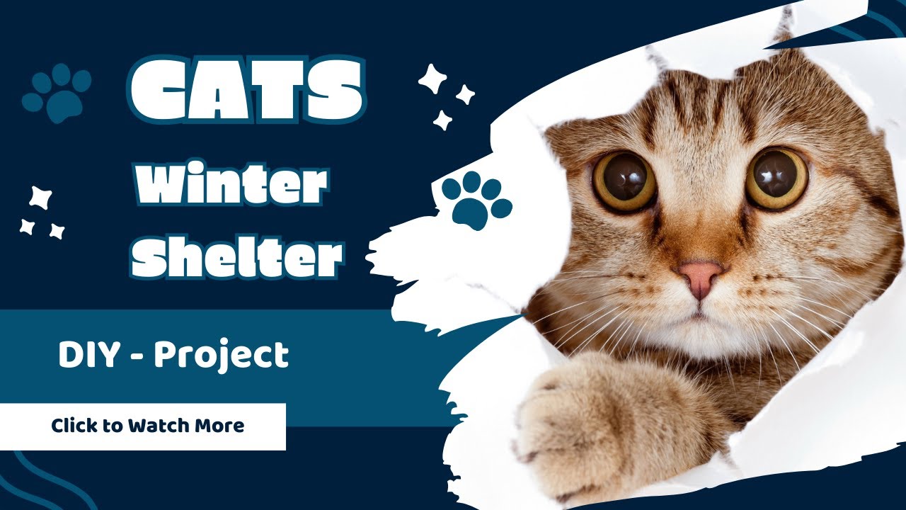 CATS WINTER SHELTER