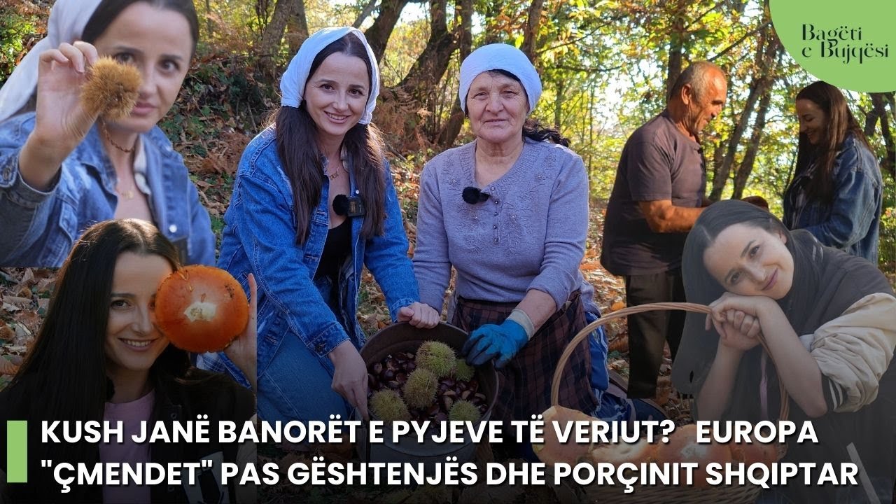 Kush janë banorët e pyjeve të veriut? Europa 