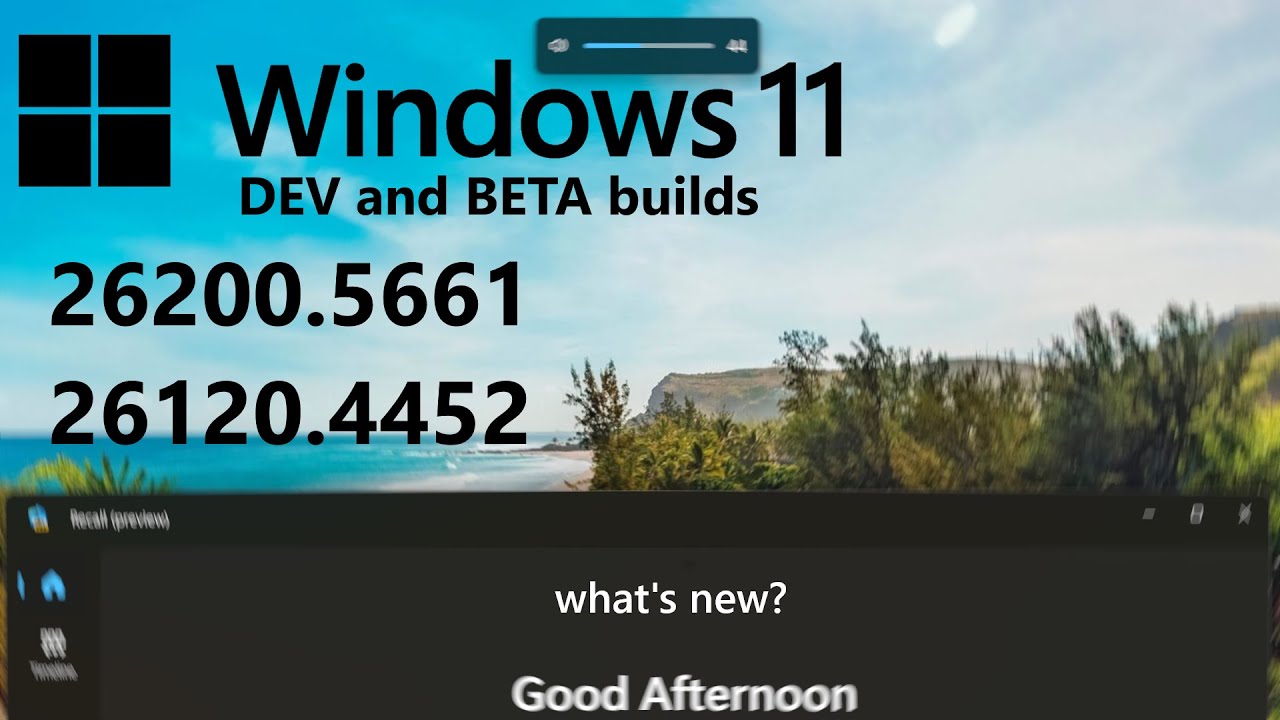 Windows 11 Dev and Beta (26200.5661, 26120.4452) - What's New?