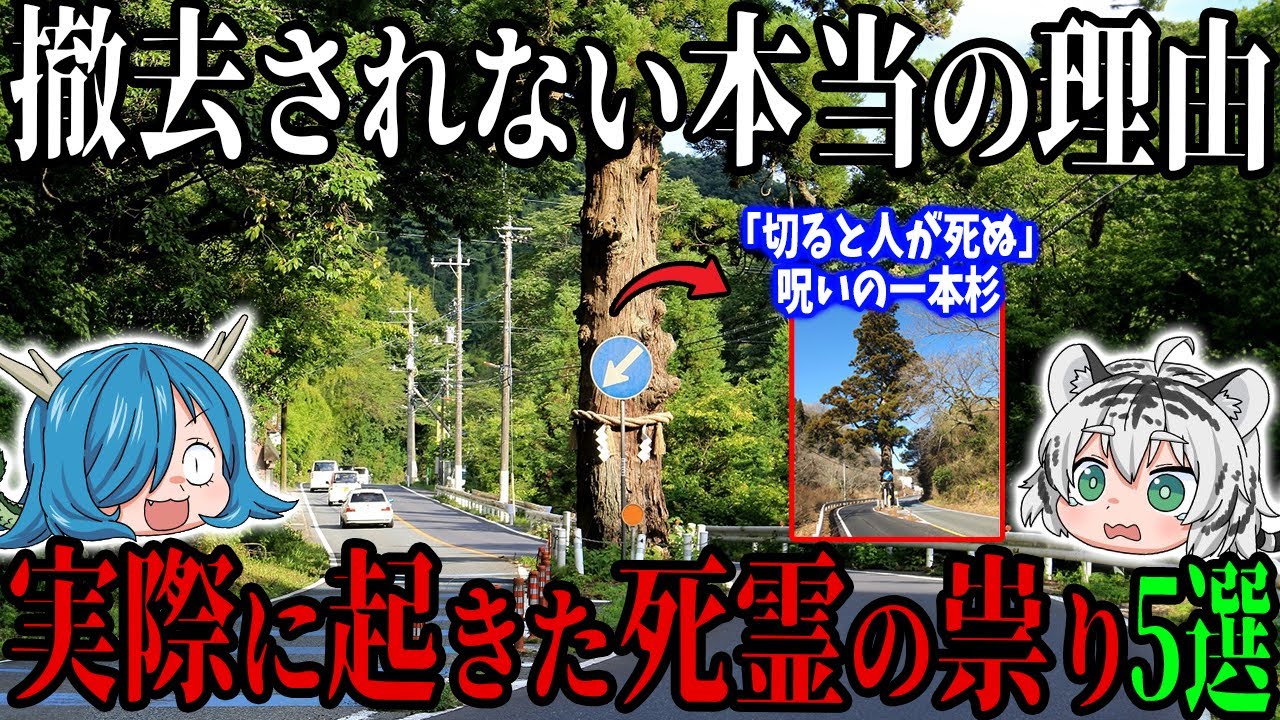 【本当の恐怖】事故が多発する！実際に起きた死霊の祟り5選