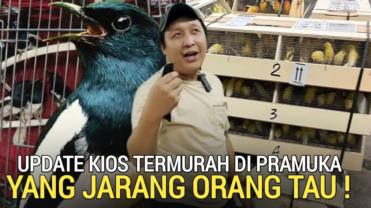 KETEMU LAGI ! KIOS YANG JARANG ORANG TAU TERMURAH DI PASAR BURUNG PRAMUKA HARI INI KIOS JKJ 