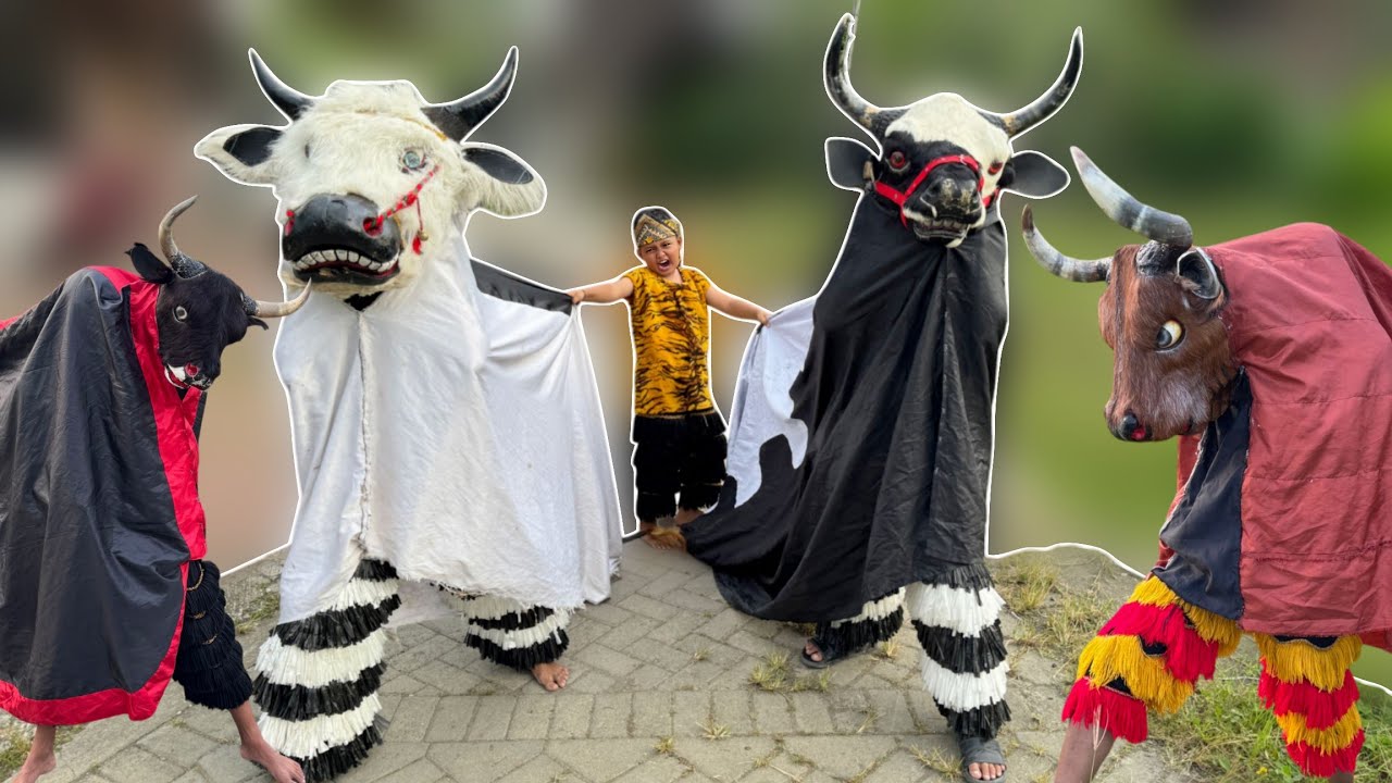 BOPO VICHO DAN BANTENGAN BEROT || BANTENGAN BUMI PONOROGO 