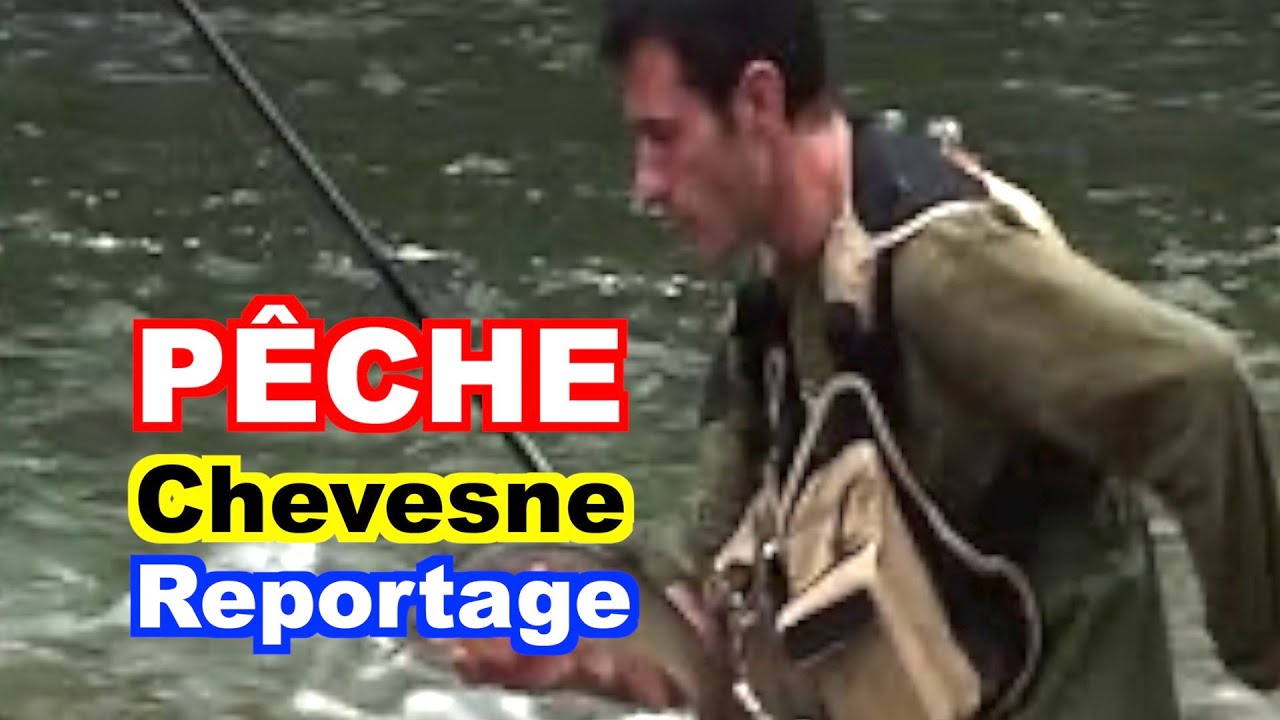 PÊCHE : Chevesne sur l'Ardèche.