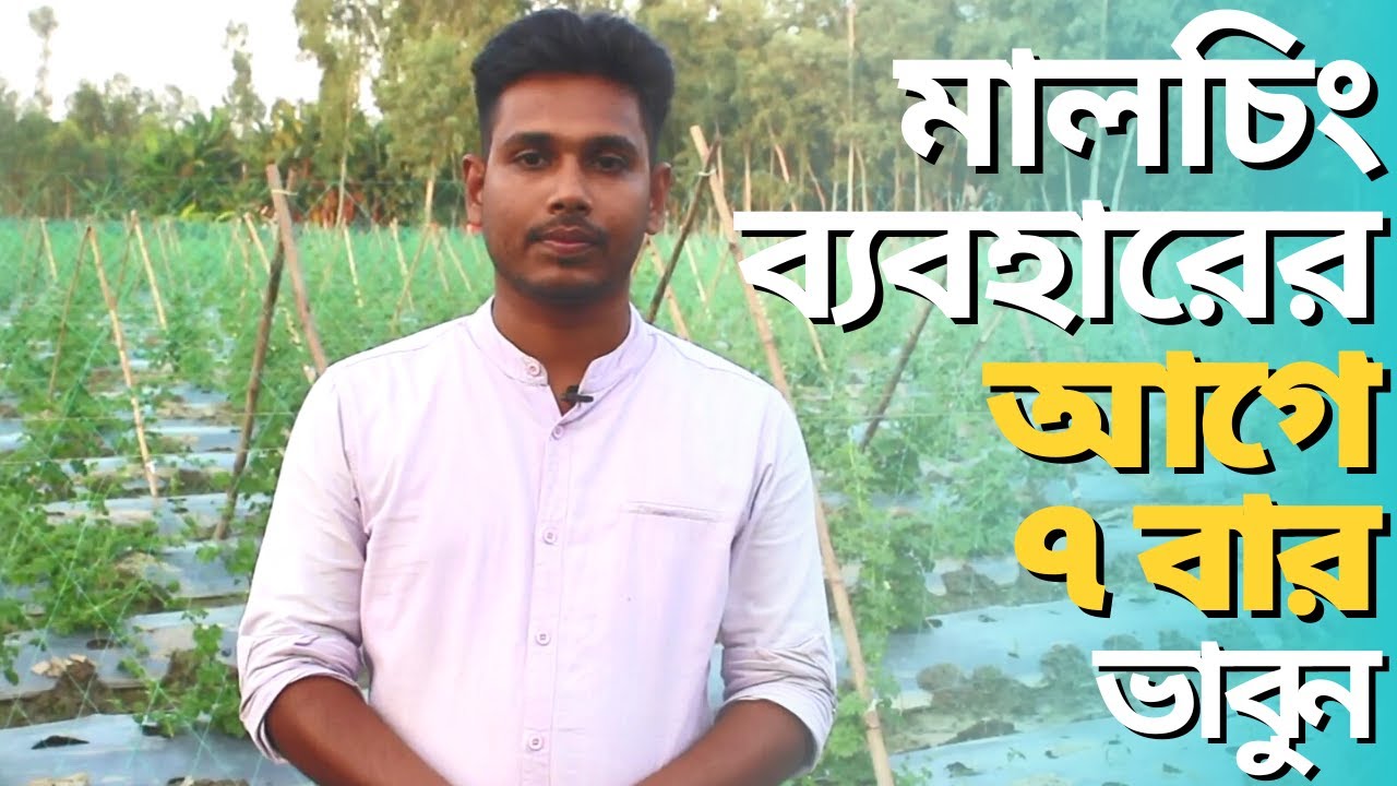 মালচিং পেপার ব্যবহারের পূর্বে ৭ বার ভাবুন - Use of Mulching Paper in Bangladesh