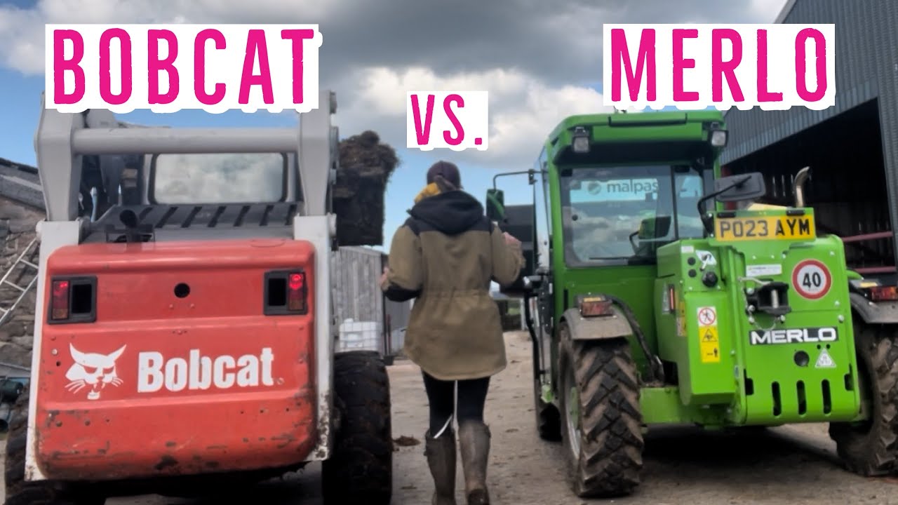 Mini merlo review vs bobcat s250 on field work