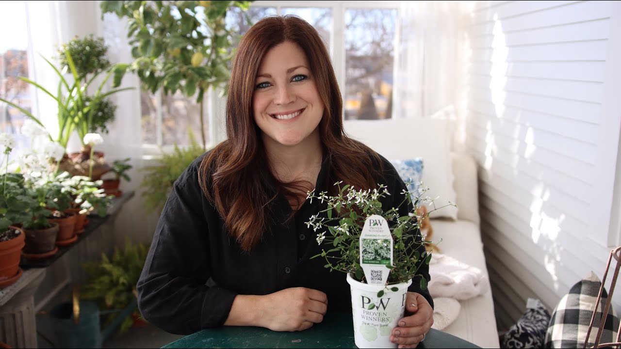Plant Spotlight: Diamond Frost, Diamond Mountain and Diamond Snow 🌿// Garden Answer