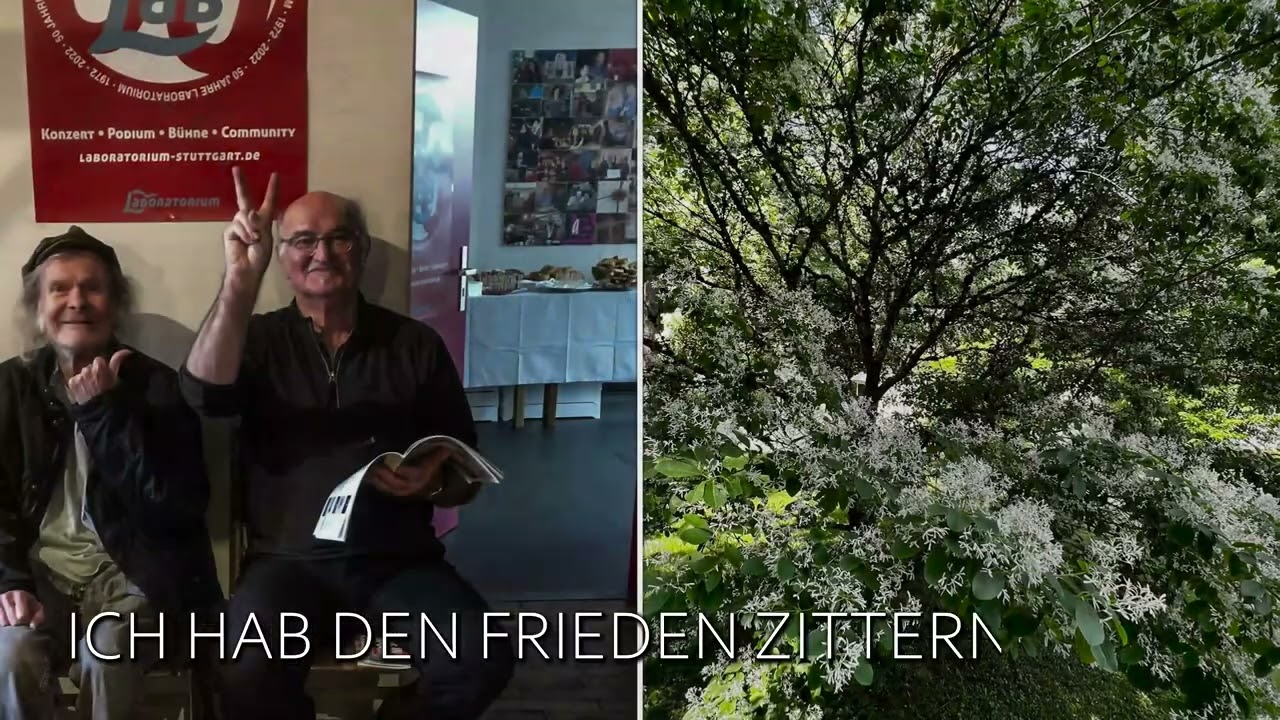 Zupfgeigenhansel  