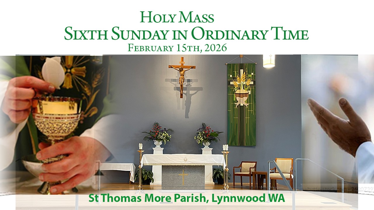 STMP | Holy Mass | Sixth Sunday in Ordinary Time | Feb 15th 2025