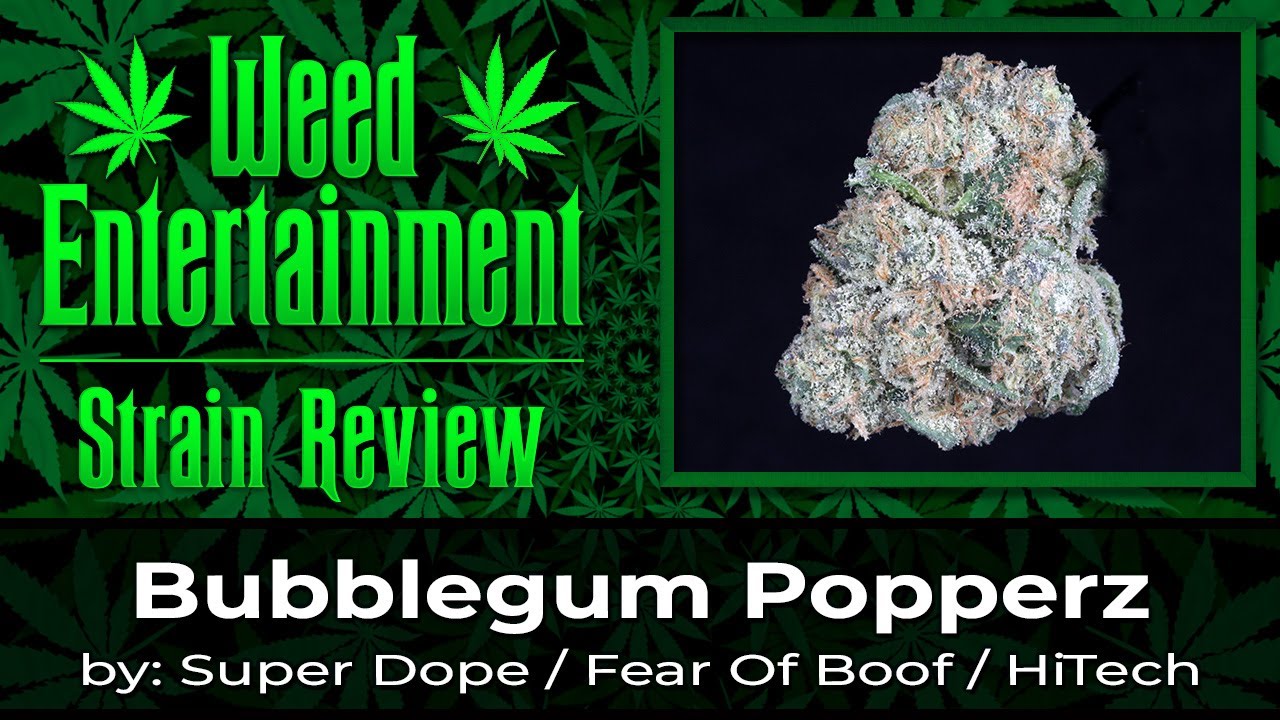 Bubblegum Popperz - by Super Dope / Fear of Boof / HiTech - Strain Review - December 2022