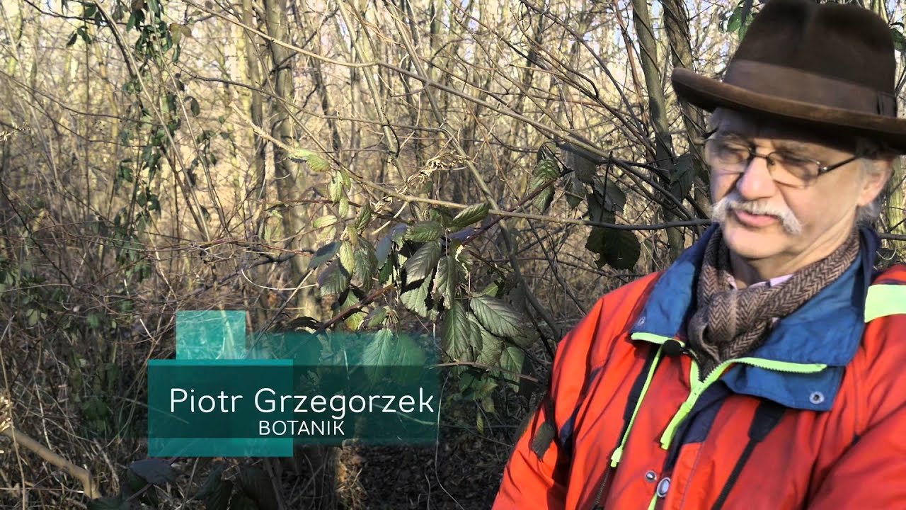 Przemsza Rzeka Posępna