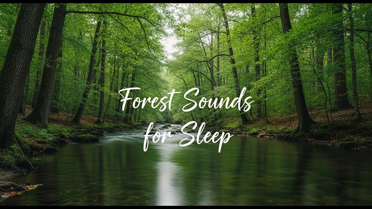 Healing River Water Sounds 12 Hours Peaceful Background Noise for Focus