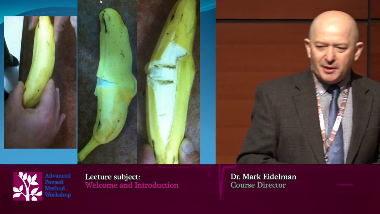 Welcome and Introduction - Dr. Mark Eidelman