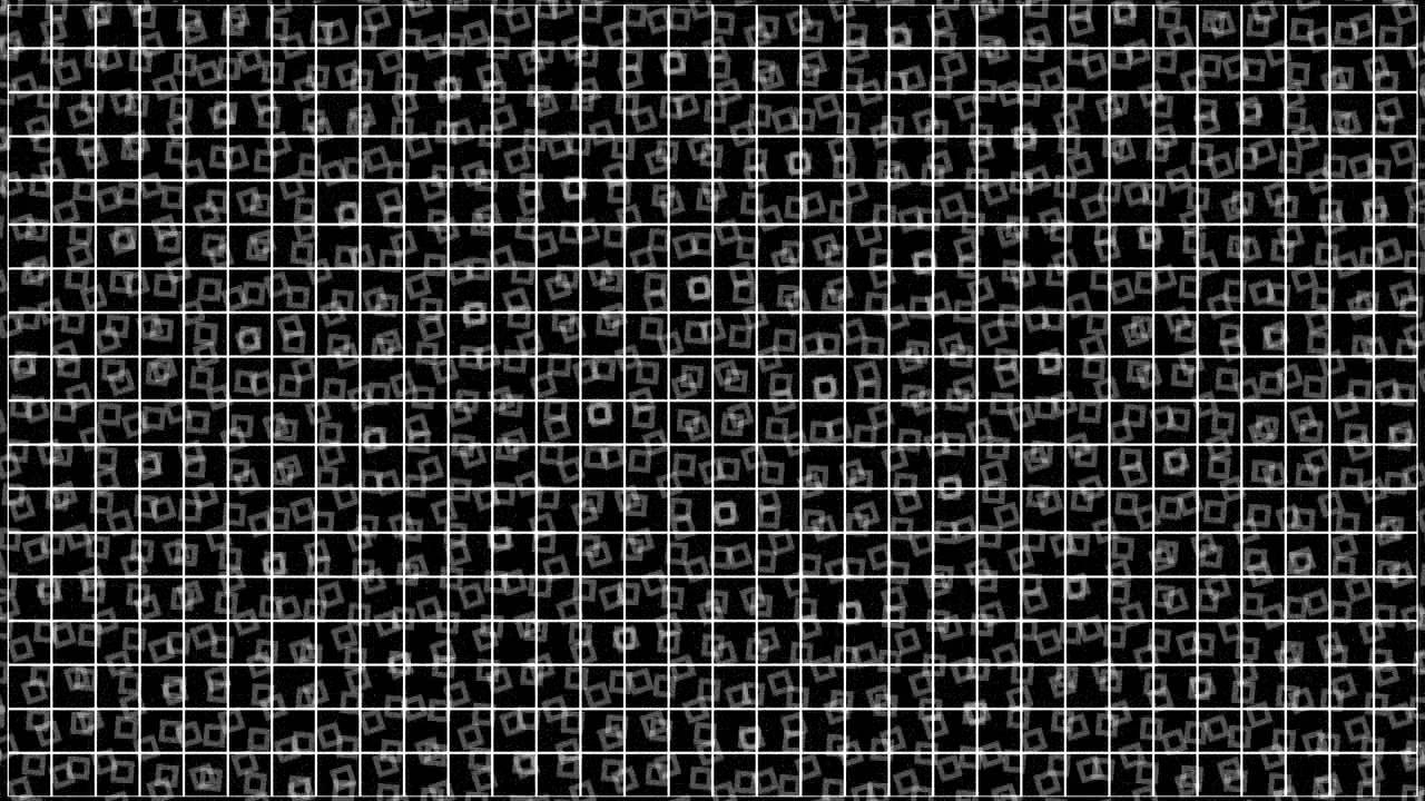 frank bretschneider // black.out