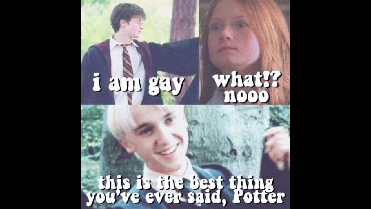 Drarry memes to make your day~