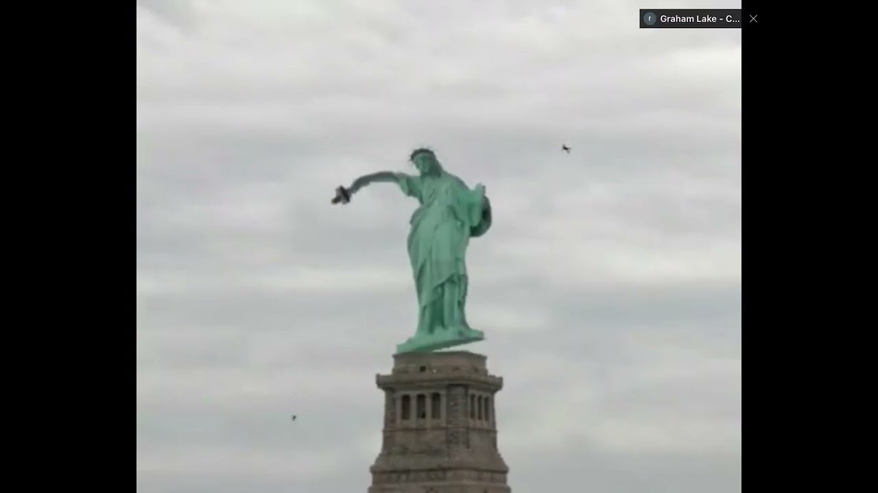What the heck is wrong with Statue of Liability what is she trying killing people!