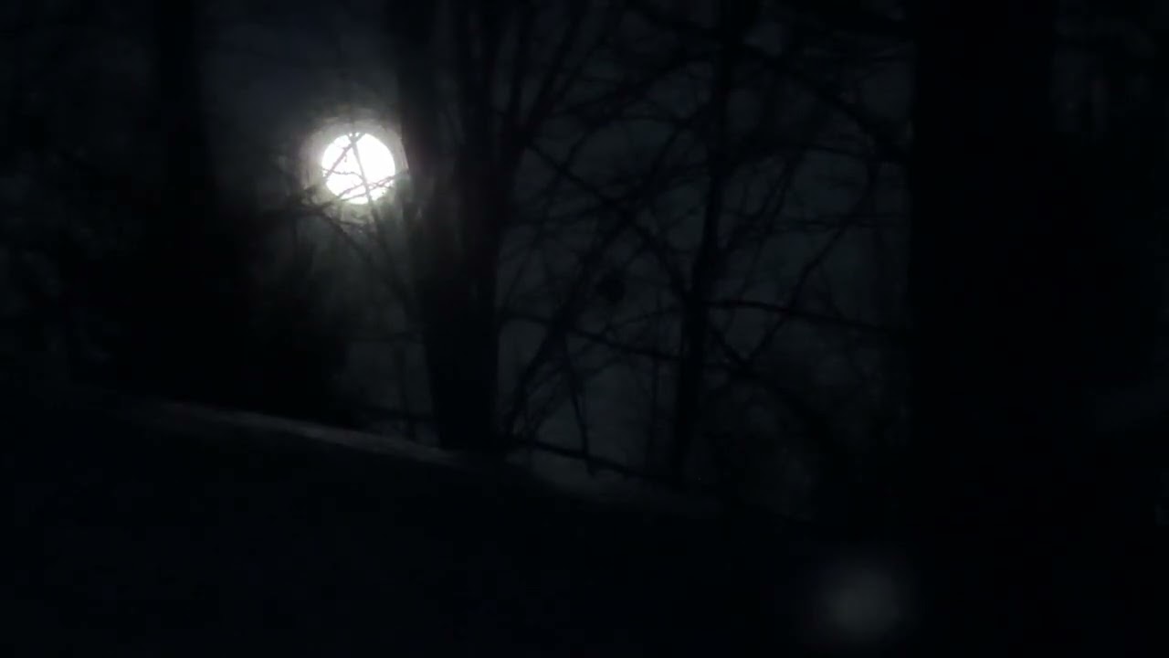 boards of canada white water armageddon speaking remix