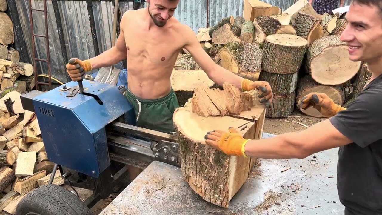 MONSTER Oak Breaking Apart