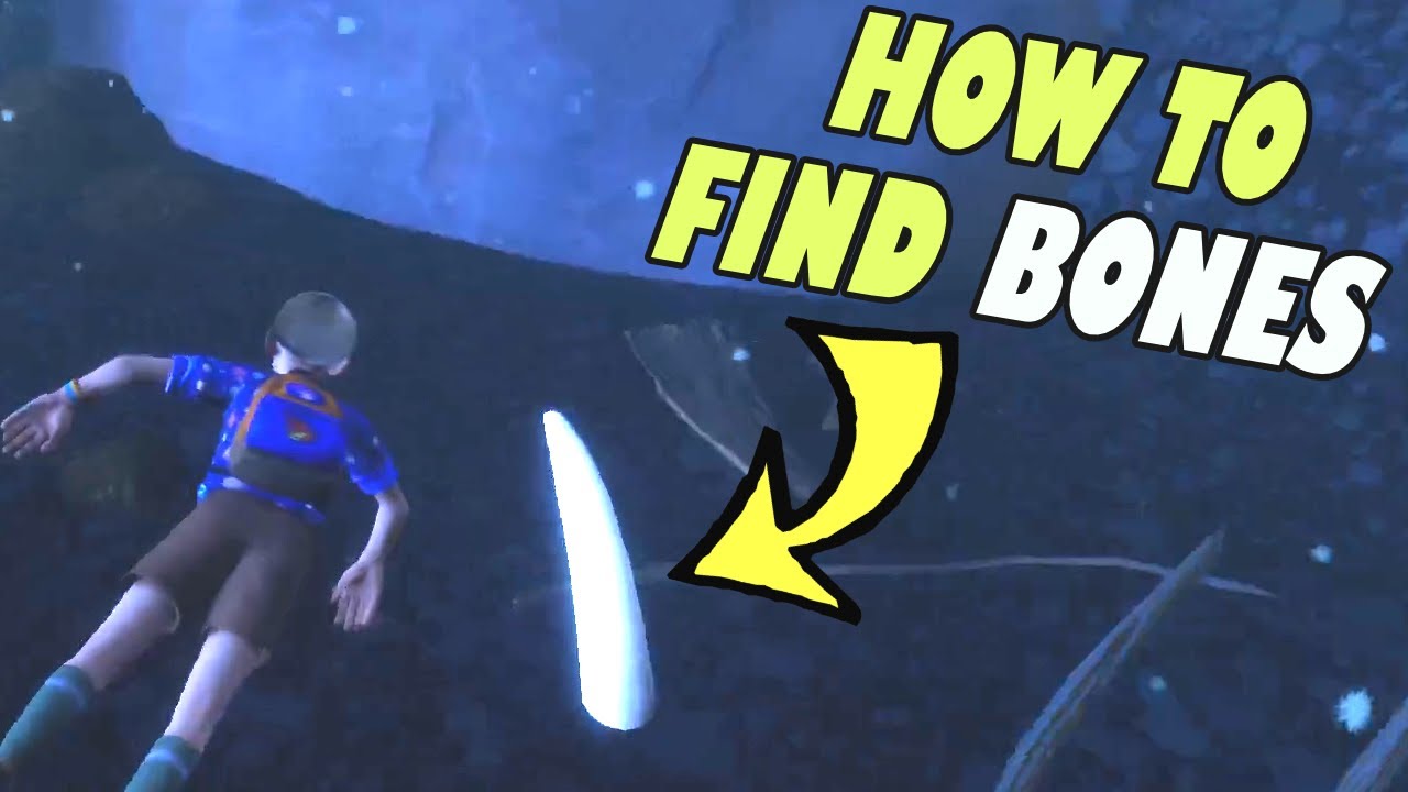 Grounded 5 MOST ASKED QUESTIONS! Where do you find bones | What is the best armor in grounded?