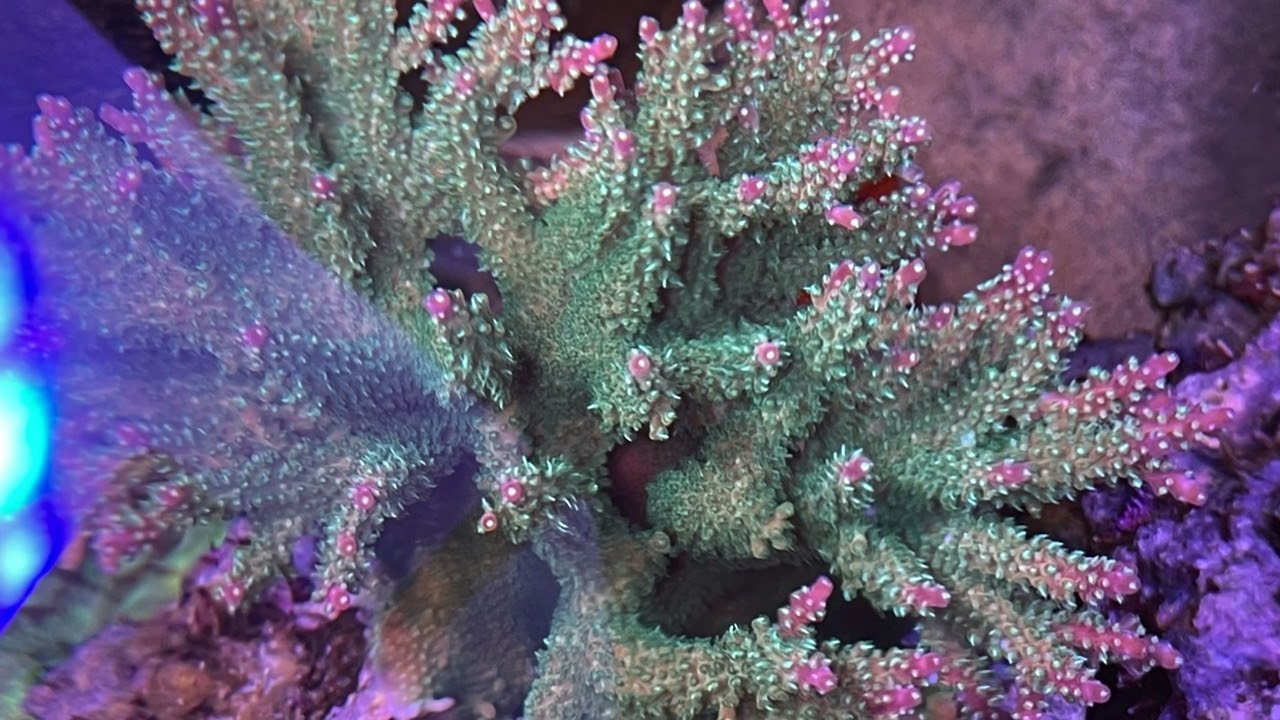 9. June 9th 2022 Tank Update