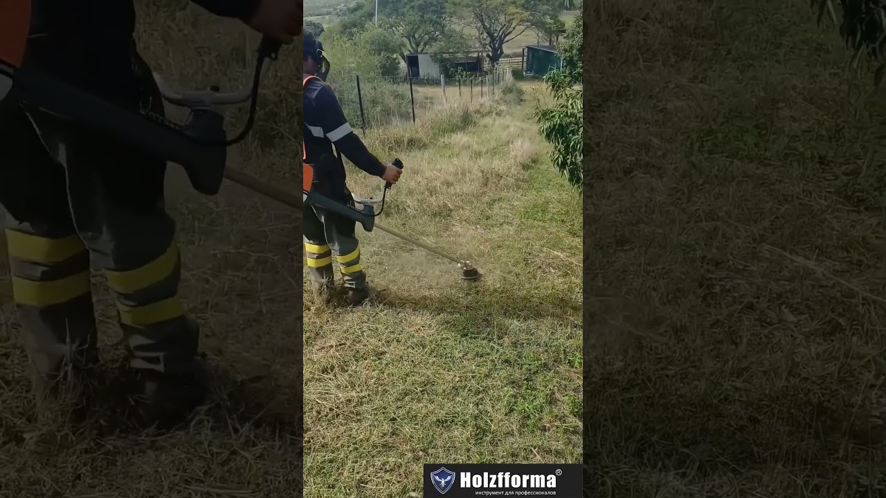 🔥Holzfforma FF450 обзор: мощная мотокоса 2.9 л.с. для травы и кустов, тест в работе💪 #stihl #fs450