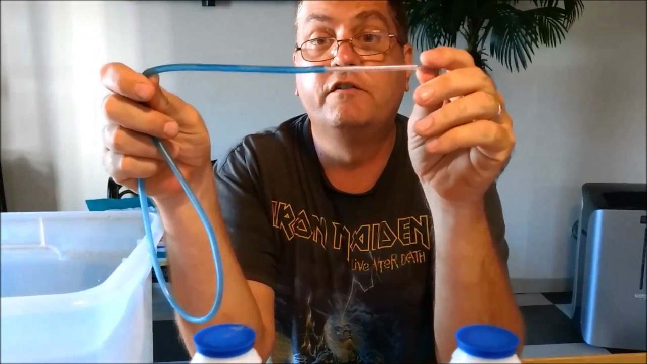 Hatching Angelfish Eggs - Part One