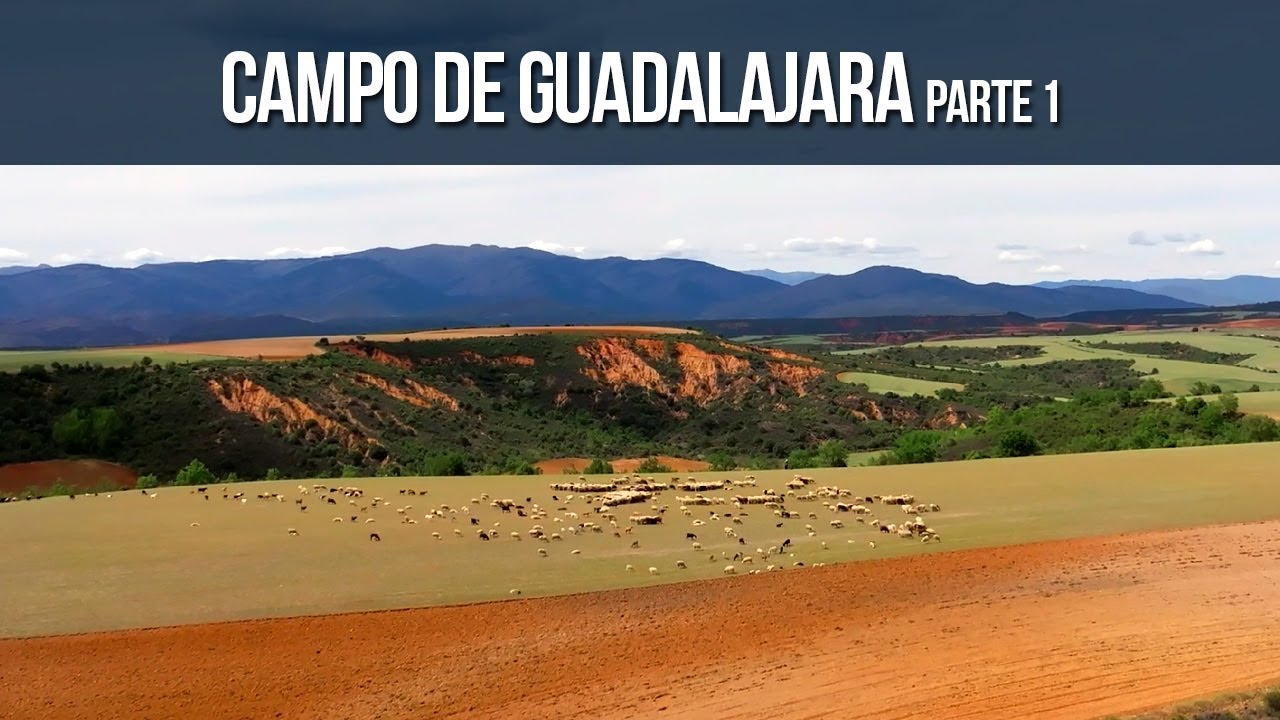Campo de Guadalajara Parte I 🏞️ Cinematic drone footage