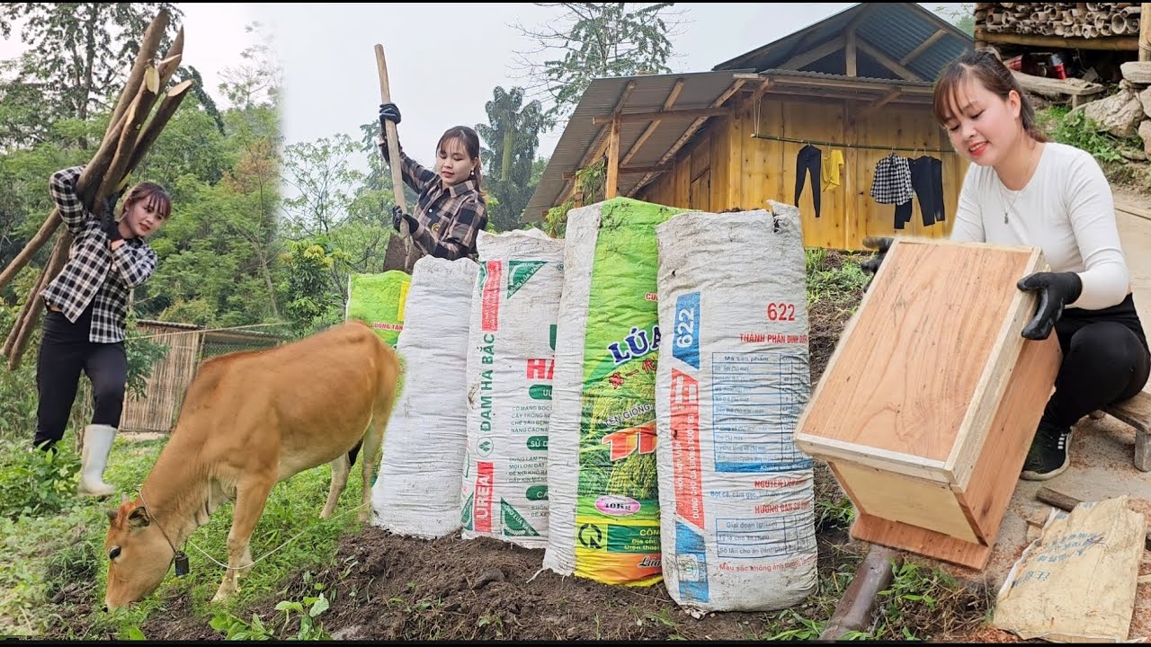 Building an independent life, living with nature of a girl named Binh in rural Vietnam