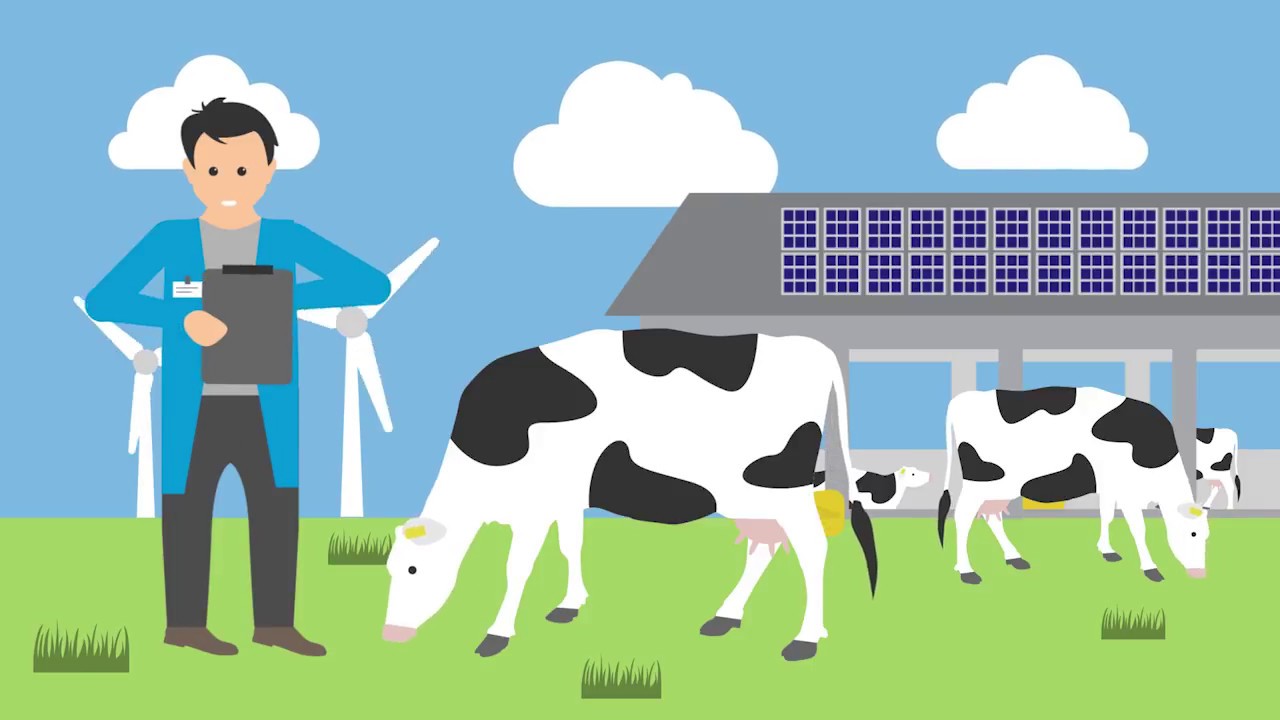 How is Dutch dairy checked? | Sustainable Dairy Chain