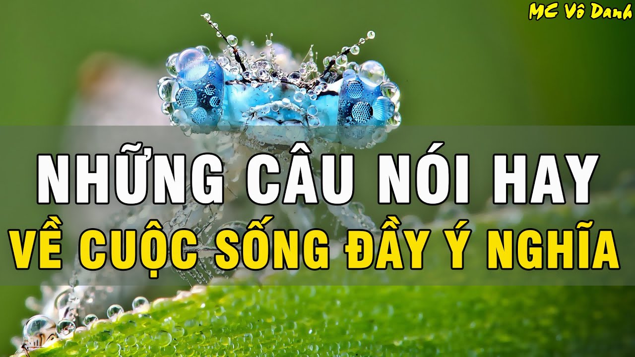 Những C&acirc;u N&oacute;i Hay Đầy &Yacute; Nghĩa Về cuộc Sống Tươi Đẹp !