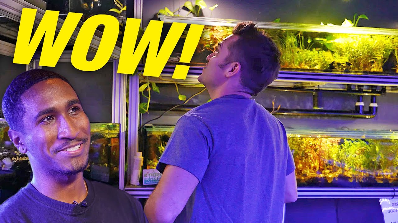 So YOU Want to Work at a Fish Store..