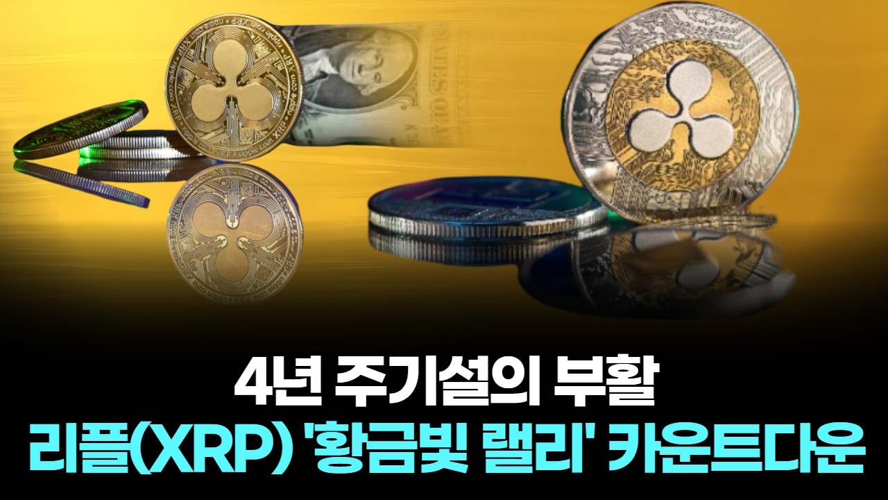 4년 주기설의 부활...리플(XRP) '황금빛 랠리' 카운트다운