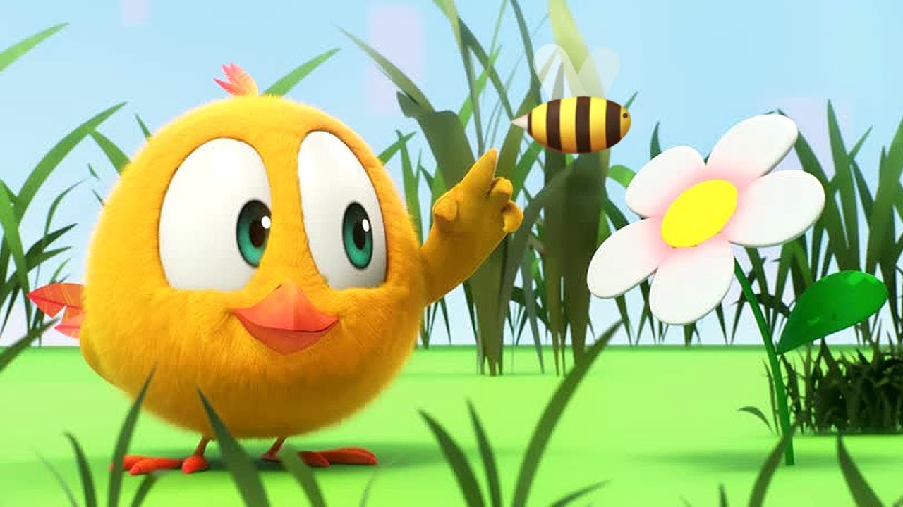 Chicky and the Bee | Where's Chicky? | Cartoon Collection in English for Kids | New episodes