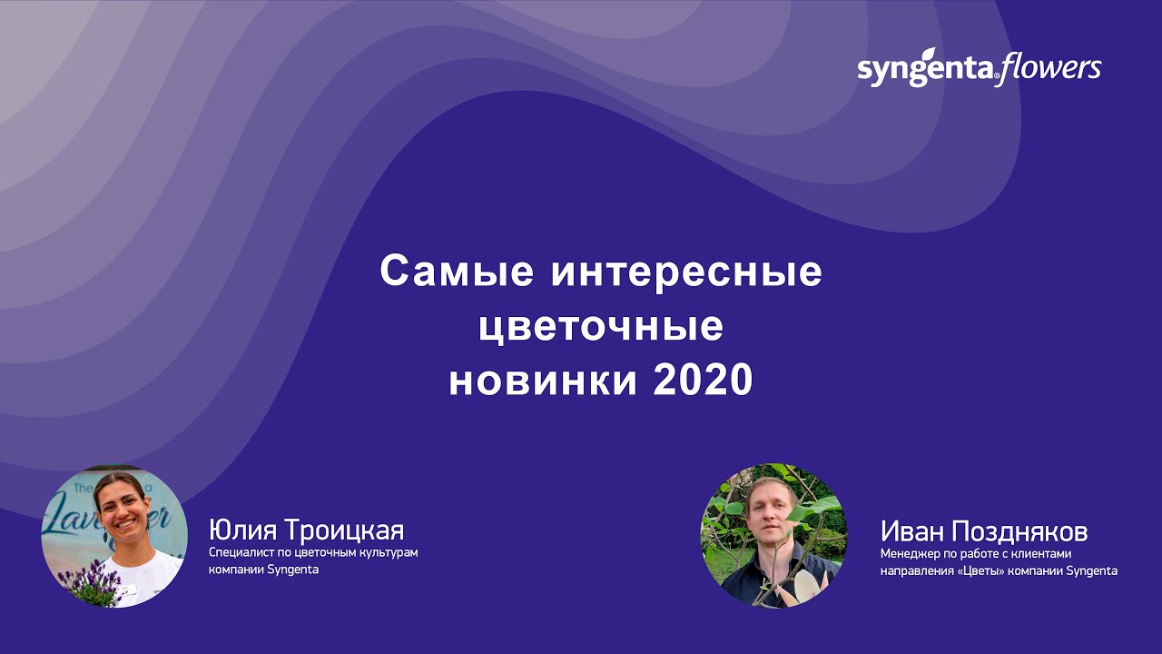 «Цветочные новинки компании Syngenta». День открытых дверей Егорьевского тепличного комбината 2020.
